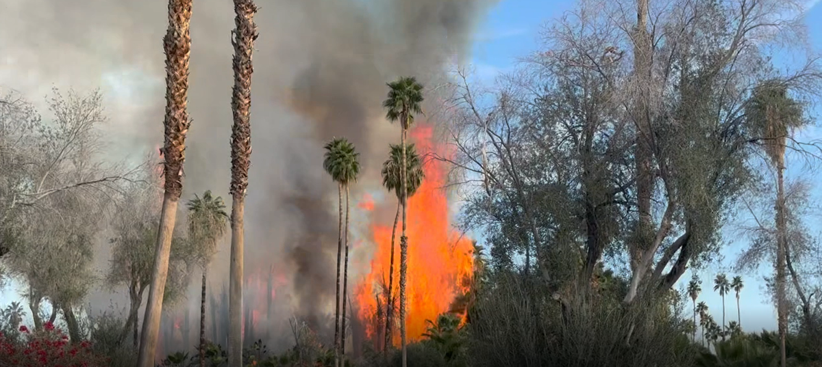 Un incendio movilizó a los bomberos en la Preserva Prescott en Palm Springs